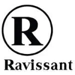 RAVISN PVT LTD company logo